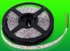 Wholesale 2011 new design personalize fashion car LED light lamp fit auto