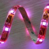 Wholesale 2011 fashion 3528 car LED light lamps