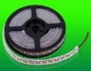 Wholesale 2011 new design personalize fashion car LED light lamp fit auto