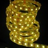Wholesale 2011 fashion 5050 car LED light lamps
