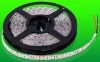 Wholesale 2011 new design personalize fashion car LED light lamp fit auto