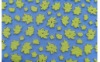 Wholesale Beautiful flower-shaped of EVA sheet