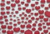 Wholesale 2011 NEW heart-shaped sheet