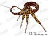 Wholesale Printed Shoelace