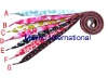 Wholesale shoelace