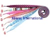 Wholesale shoelace