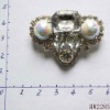 Wholesale 2011 fashion acrylic shoe buckle