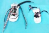 fashion Shoelaces