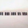 PIANO SHOELACE