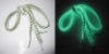Wholesale flashing shoelace