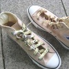 Shoelace