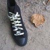Shoelace