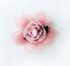 Wholesale shoe flower/shoe ornament/shoe accessories