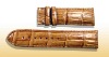 Wholesale Fashion watch band