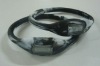 2011 Hot sell ion sports wrist watch