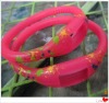 Wholesale 2010 sports ion watch