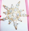 fashion brooch