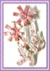 Wholesale Alloy Brooch