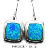 Fashion charm earrings opal+cz stone jewelryDR00362E