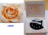 Wholesale 5 pearls love pearl gift set