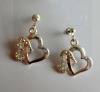 fashion alloy earrings
