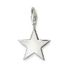 Wholesale pentagram charms for charm braclet and kids jewelry and promotion gift 1102
