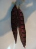 feather earrings & wholesale long feather earrings