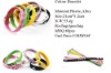 Wholesale Plastic Bracelet/Promotion Gifts/Fashion Bracelet