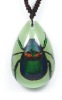 Wholesale Fashion pendant--Real insect pendant