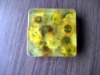 Wholesale Chrysanthemum Soap Plant