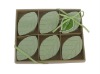 Wholesale Bath Fizzer Set