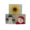 Wholesale Nice Memory in Transparent Soaps TS-1932