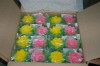 Wholesale 2011new lotus flower soap