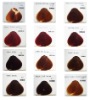 Wholesale permanent hair color