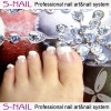 Wholesale 2010 new nail art