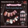 Wholesale PB001-5 LUXURY NAIL TIP