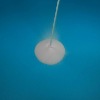 Wholesale UV Gel Clear Pink Acrylic Powder