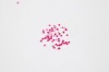 Wholesale colorful nail decoration paillette