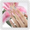 Wholesale whole nail 3D-2010