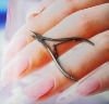 Wholesale Professional Nail Nipper