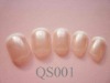 Wholesale french nail (QS001)