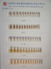 Wholesale 24tips fashion design artificial nail kit