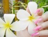 Wholesale Beautiful Art nails