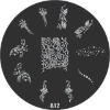Wholesale stamping image plate