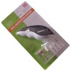 Wholesale Dolphin Shape Nail decoration expert