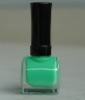 Wholesale nail polish ZJ052