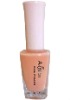 Wholesale latest Nail polish/beauty(16ml)