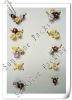 Wholesale Soft Ceramic nail art seal