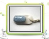 Foot pumice stone