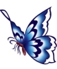 Wholesale Fashion Temporary tattoo